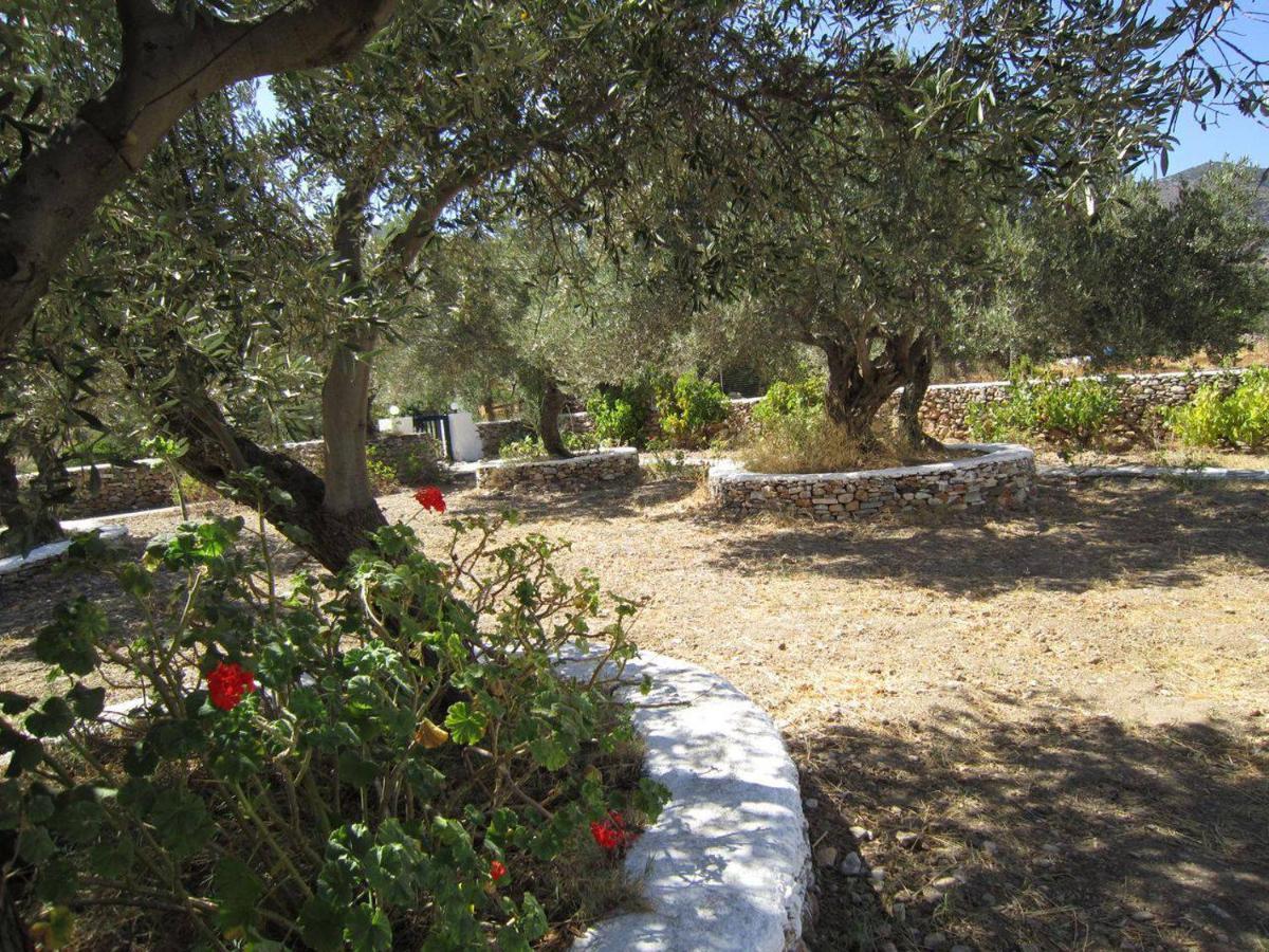 Elisso Villas Platis Gialos  Luaran gambar