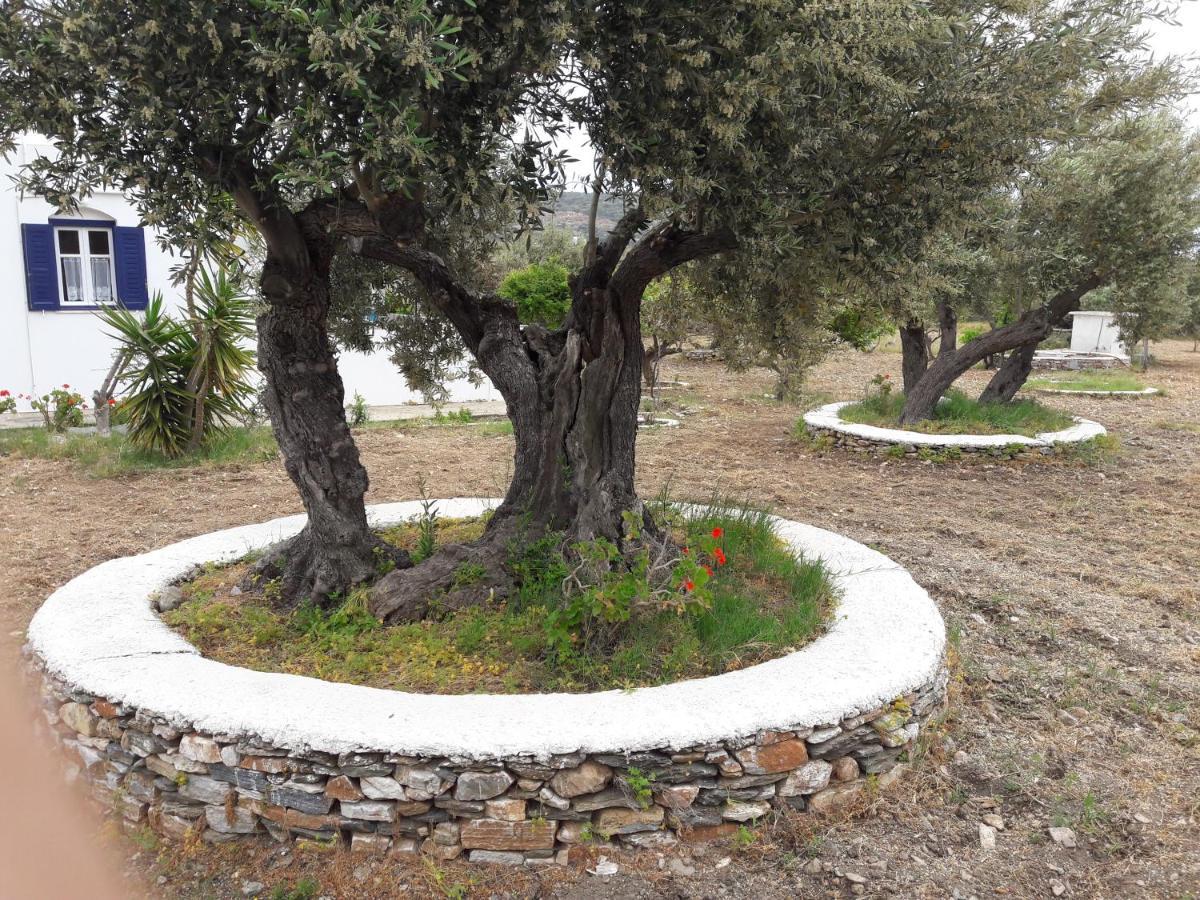 Elisso Villas Platis Gialos  Luaran gambar