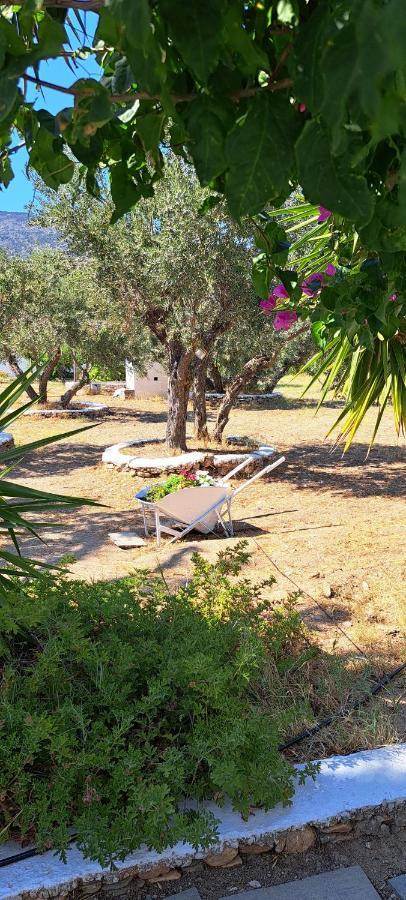 Elisso Villas Platis Gialos  Luaran gambar