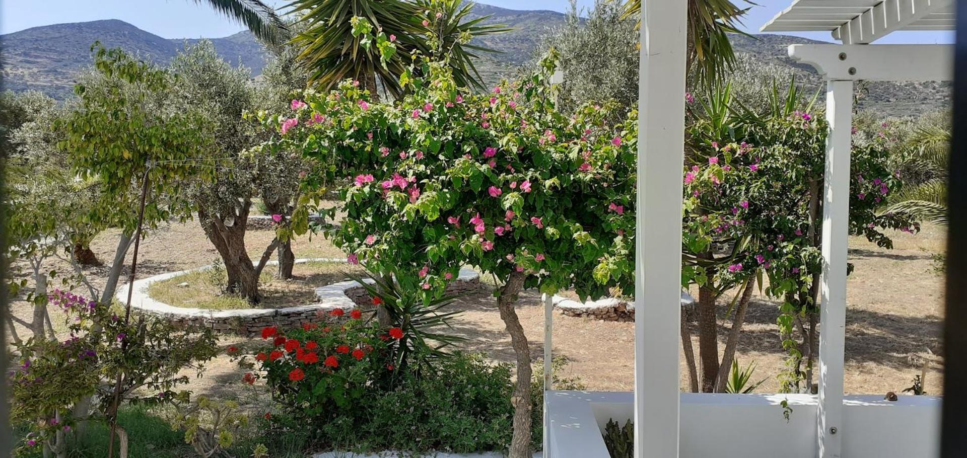 Elisso Villas Platis Gialos  Luaran gambar