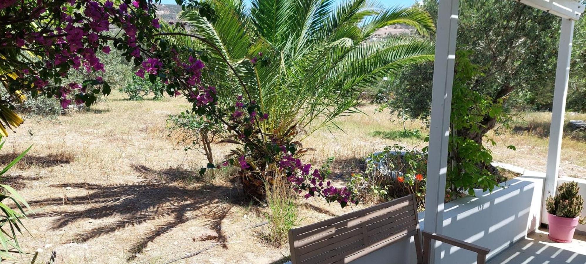 Elisso Villas Platis Gialos  Luaran gambar