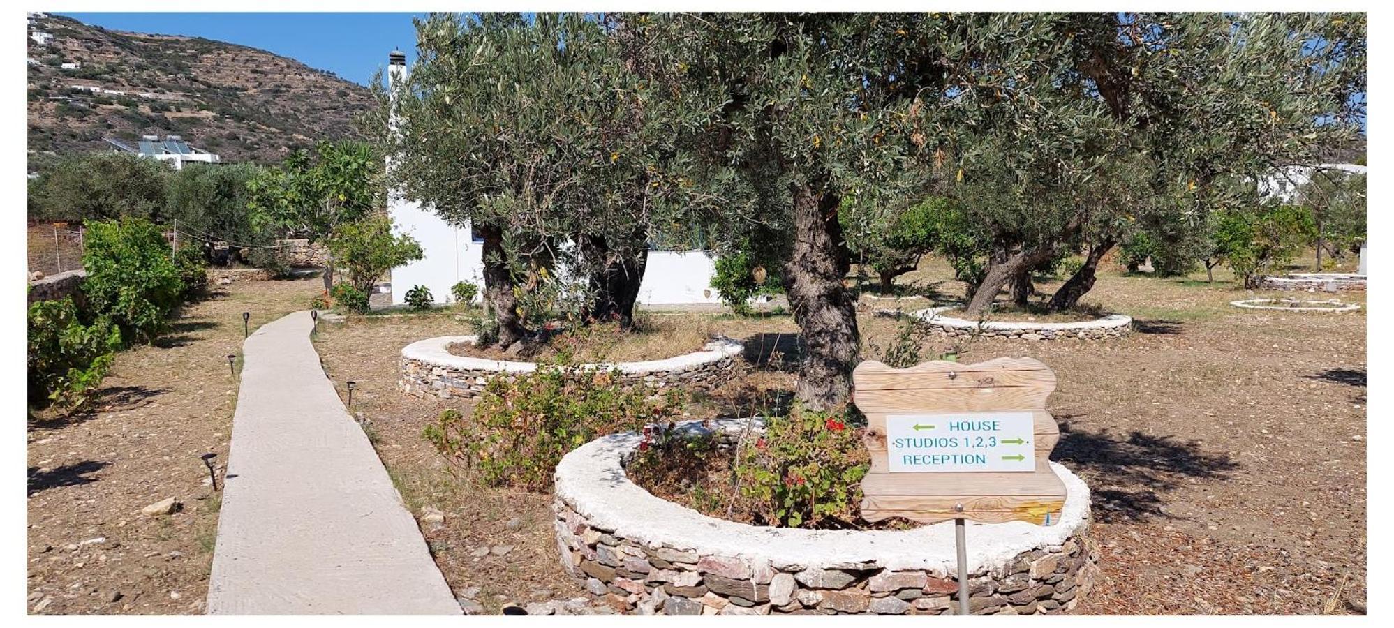 Elisso Villas Platis Gialos  Luaran gambar
